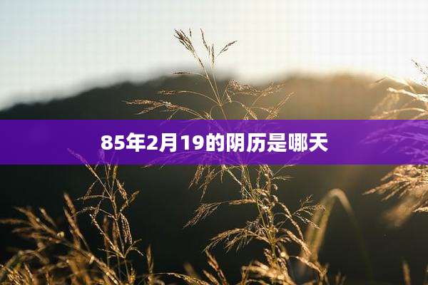 85年2月19的阴历是哪天