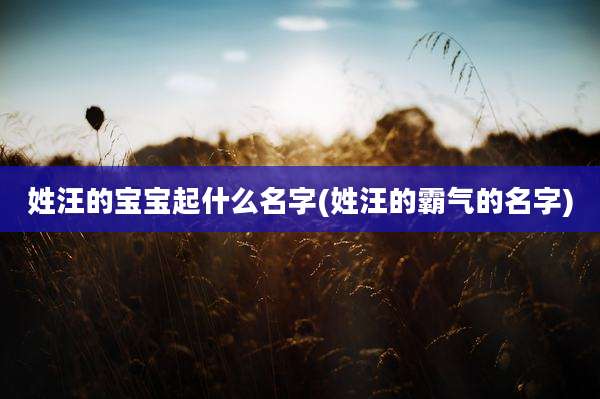 姓汪的宝宝起什么名字(姓汪的霸气的名字)