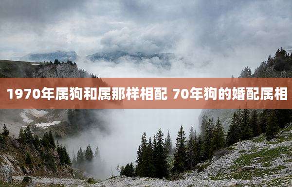 1970年属狗和属那样相配 70年狗的婚配属相