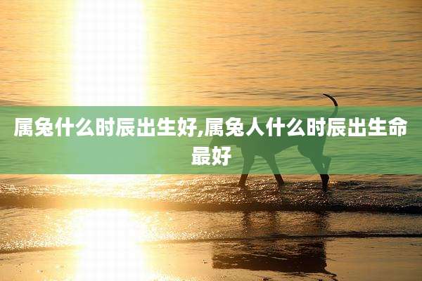 属兔什么时辰出生好,属兔人什么时辰出生命最好