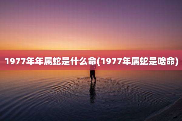 1977年年属蛇是什么命(1977年属蛇是啥命)