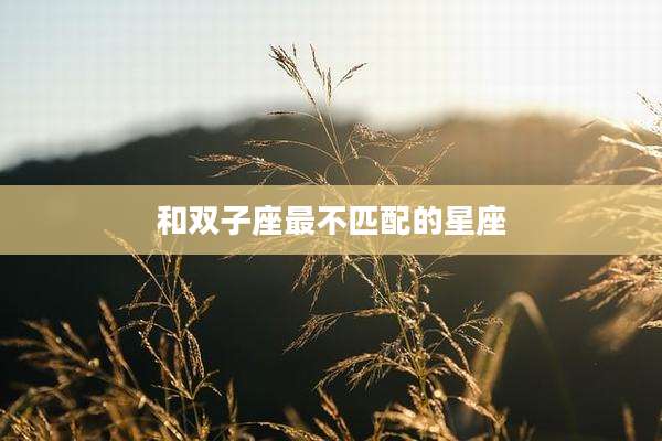 和双子座最不匹配的星座