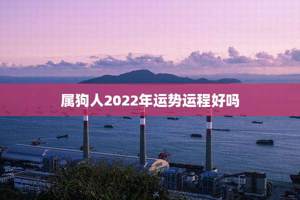 属狗人2022年运势运程好吗