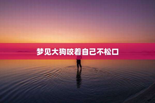 梦见大狗咬着自己不松口