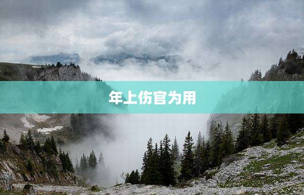 年上伤官为用