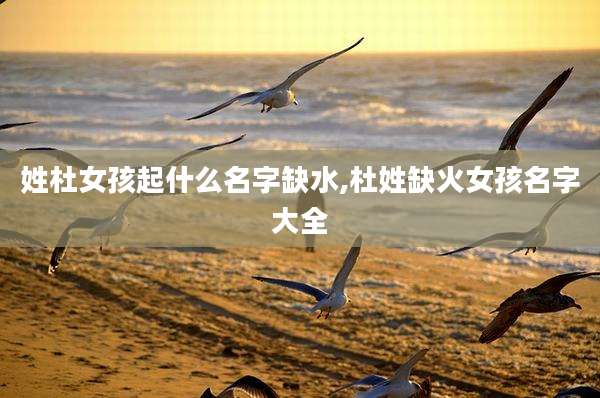 姓杜女孩起什么名字缺水,杜姓缺火女孩名字大全