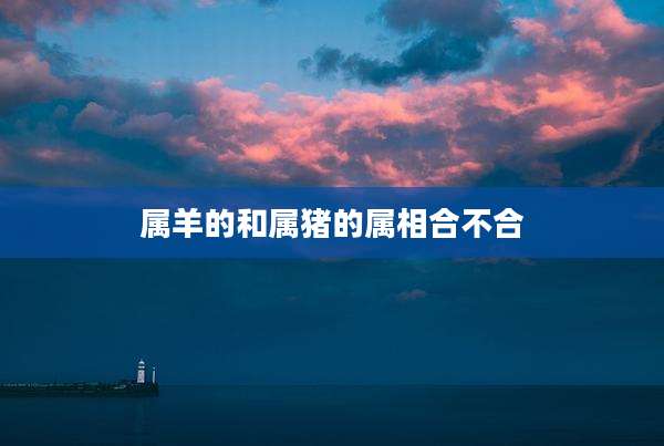 属羊的和属猪的属相合不合