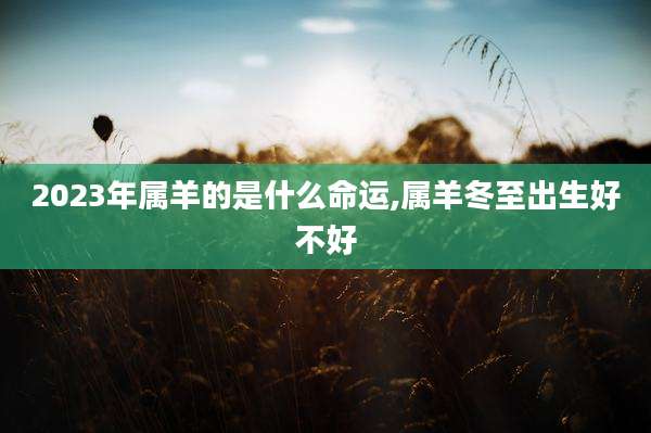 2023年属羊的是什么命运,属羊冬至出生好不好