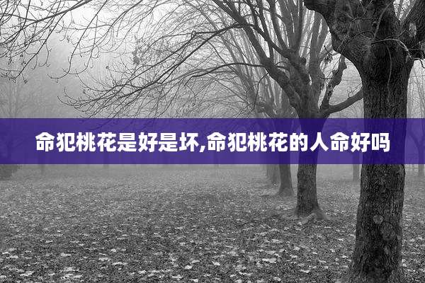 命犯桃花是好是坏,命犯桃花的人命好吗