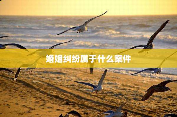 婚姻纠纷属于什么案件