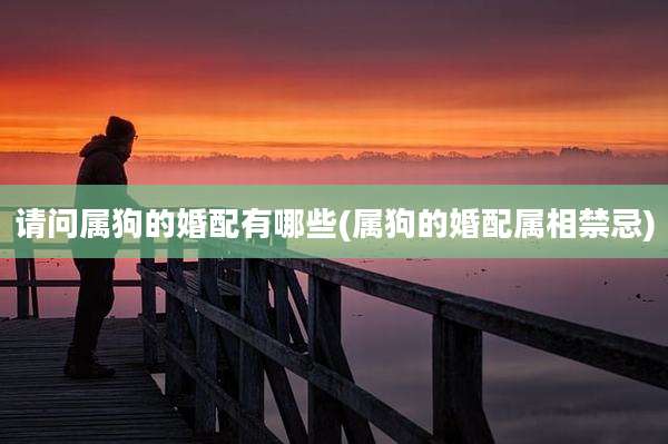 请问属狗的婚配有哪些(属狗的婚配属相禁忌)