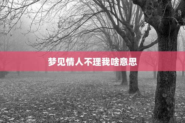 梦见情人不理我啥意思