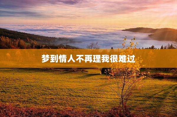 梦到情人不再理我很难过