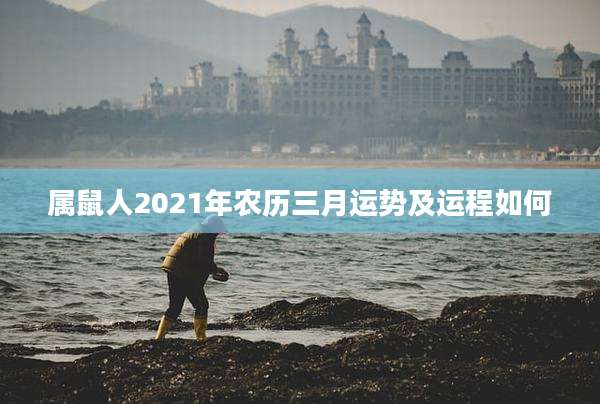 属鼠人2021年农历三月运势及运程如何