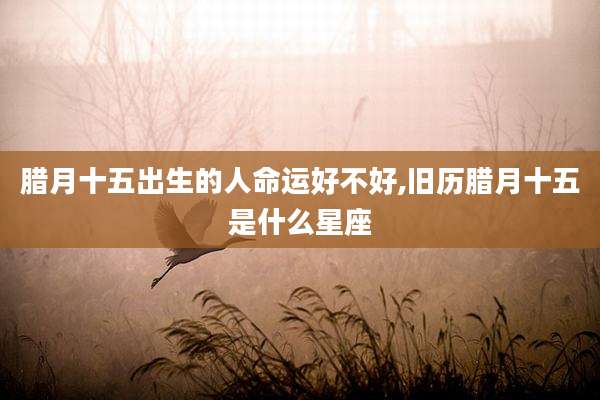 腊月十五出生的人命运好不好,旧历腊月十五是什么星座