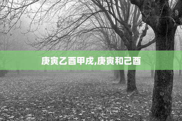 庚寅乙酉甲戌,庚寅和己酉
