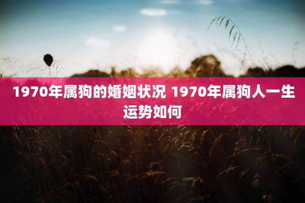 1970年属狗的婚姻状况 1970年属狗人一生运势如何