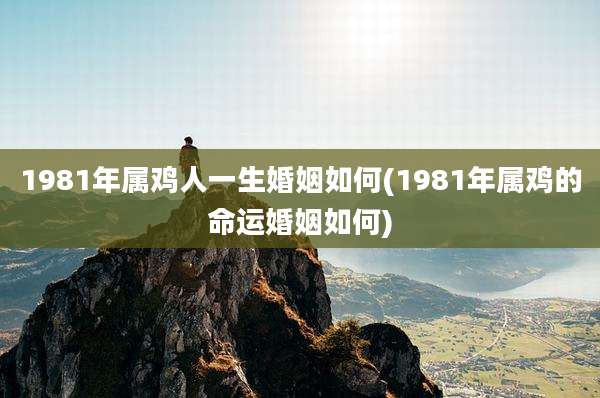 1981年属鸡人一生婚姻如何(1981年属鸡的命运婚姻如何)