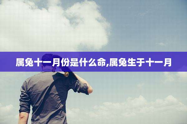 属兔十一月份是什么命,属兔生于十一月