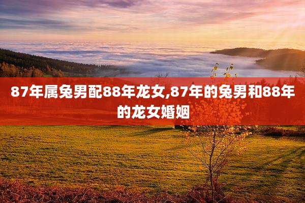 87年属兔男配88年龙女,87年的兔男和88年的龙女婚姻