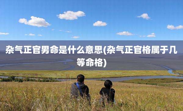 杂气正官男命是什么意思(杂气正官格属于几等命格)
