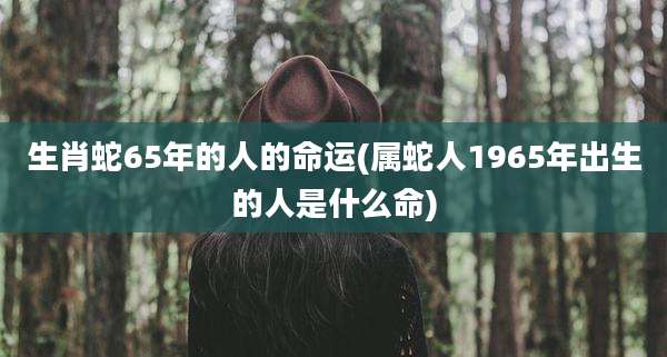 生肖蛇65年的人的命运(属蛇人1965年出生的人是什么命)