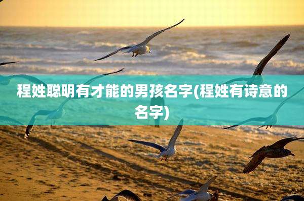 程姓聪明有才能的男孩名字(程姓有诗意的名字)