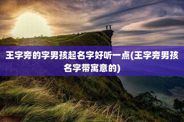 王字旁的字男孩起名字好听一点(王字旁男孩名字带寓意的)