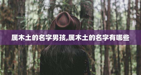 属木土的名字男孩,属木土的名字有哪些
