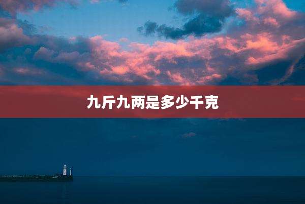 九斤九两是多少千克