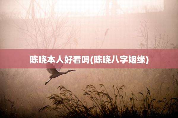 陈晓本人好看吗(陈晓八字姻缘)