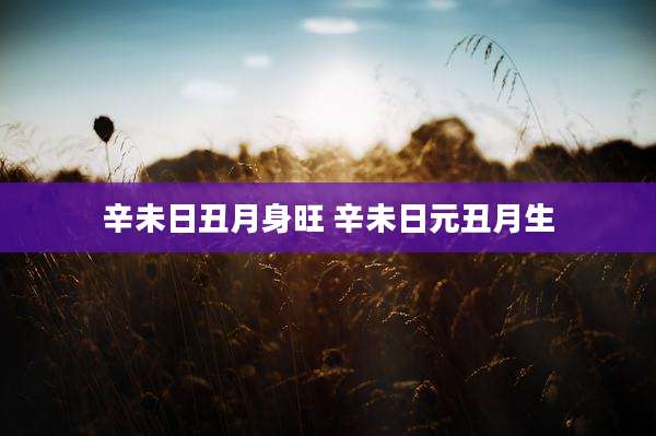 辛未日丑月身旺 辛未日元丑月生