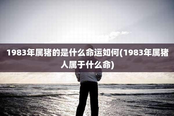 1983年属猪的是什么命运如何(1983年属猪人属于什么命)