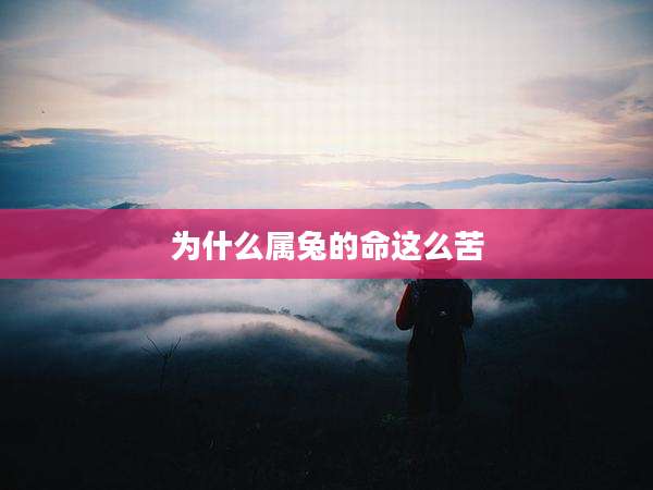 为什么属兔的命这么苦