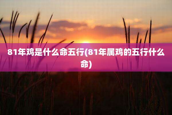 81年鸡是什么命五行(81年属鸡的五行什么命)