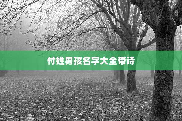 付姓男孩名字大全带诗