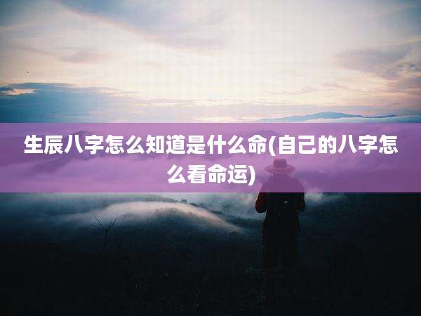 生辰八字怎么知道是什么命(自己的八字怎么看命运)