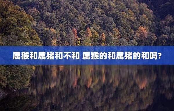属猴和属猪和不和 属猴的和属猪的和吗?