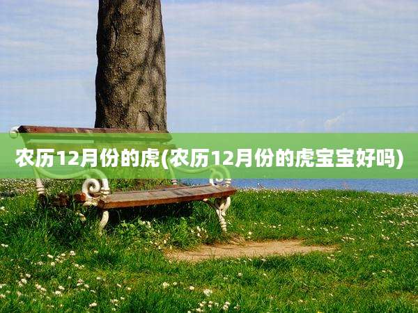 农历12月份的虎(农历12月份的虎宝宝好吗)