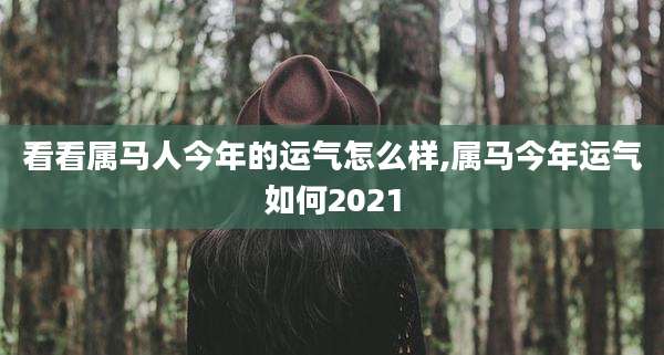 看看属马人今年的运气怎么样,属马今年运气如何2021