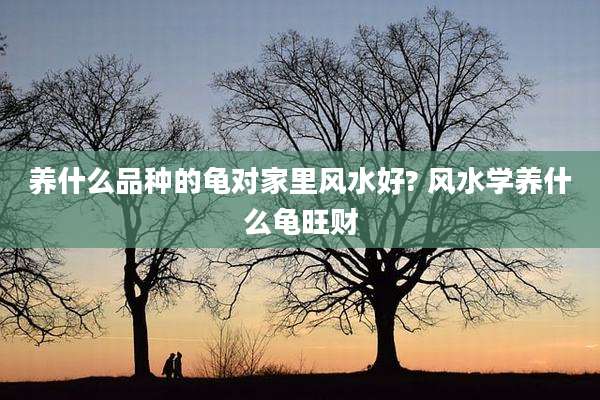 养什么品种的龟对家里风水好? 风水学养什么龟旺财