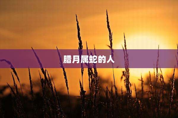 腊月属蛇的人