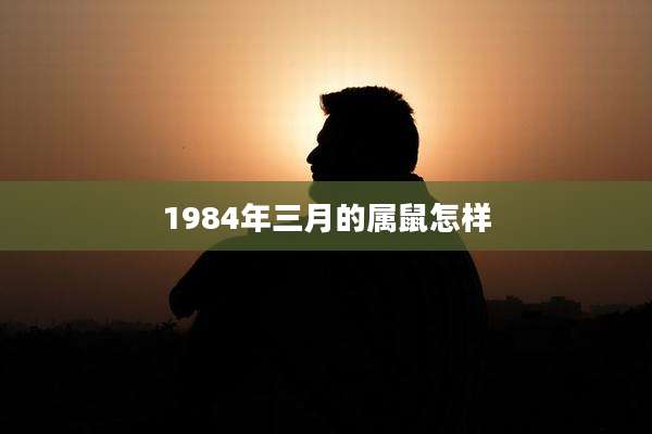 1984年三月的属鼠怎样