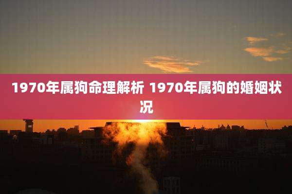1970年属狗命理解析 1970年属狗的婚姻状况