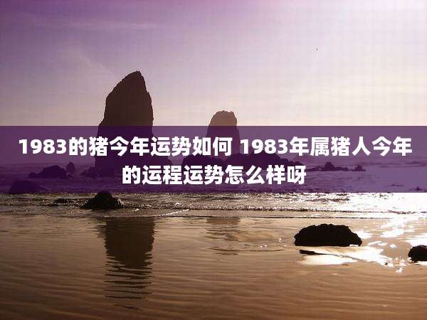 1983的猪今年运势如何 1983年属猪人今年的运程运势怎么样呀