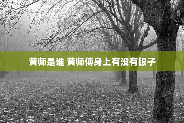 黄师是谁 黄师傅身上有没有银子