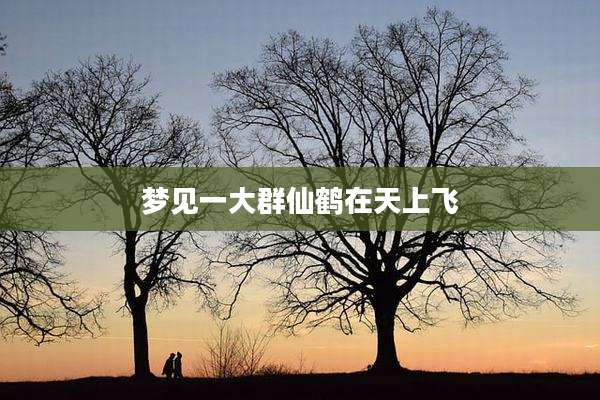 梦见一大群仙鹤在天上飞