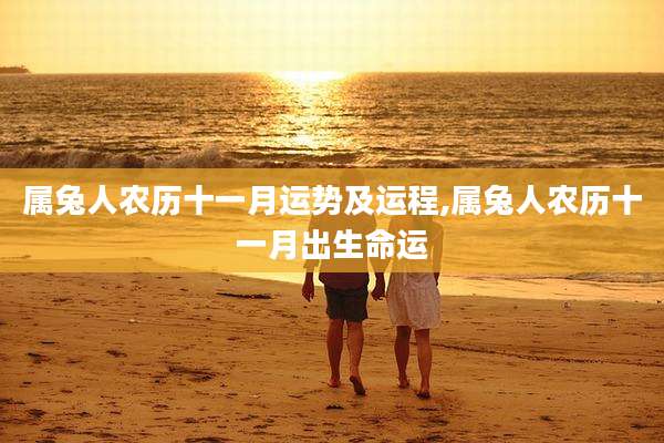 属兔人农历十一月运势及运程,属兔人农历十一月出生命运