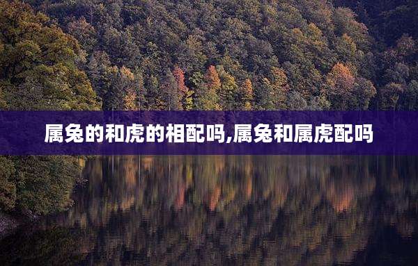 属兔的和虎的相配吗,属兔和属虎配吗