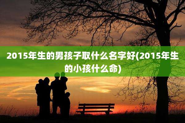 2015年生的男孩子取什么名字好(2015年生的小孩什么命)